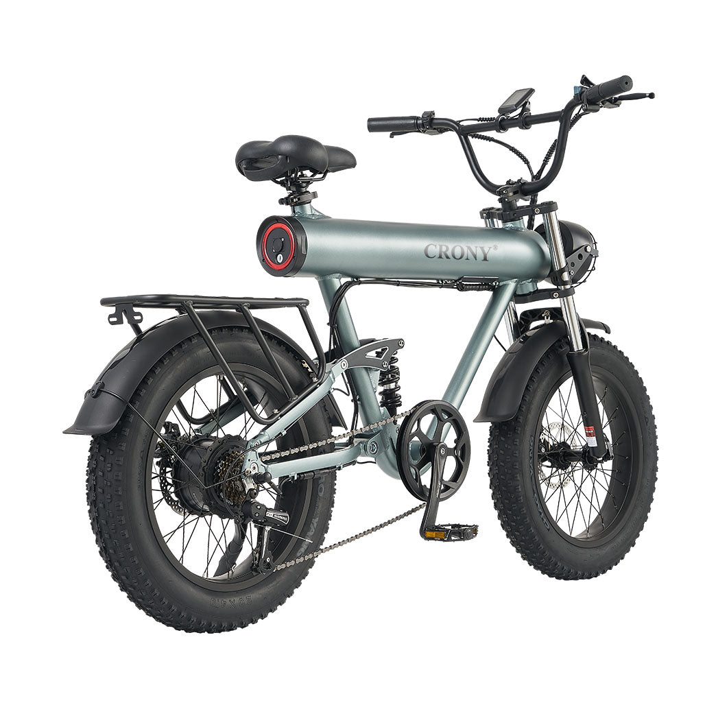 CRONY K20 Plus Electric Bicycle Mountain Electric Bike 1000W 10AH Electric Style Bike Outdoor Entertainment Snow