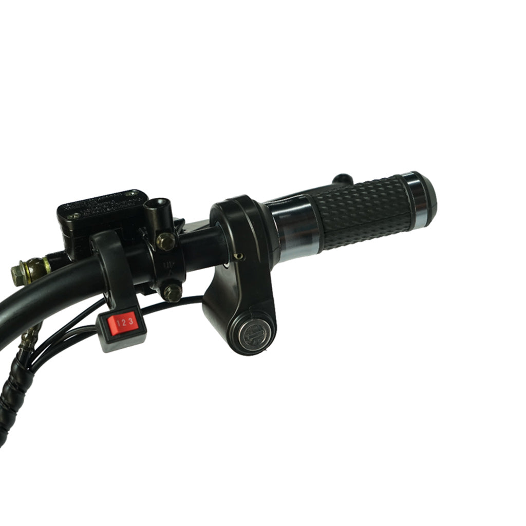 CRONY Small X1 Harley Car Electric bicycle Ebike Harley Car Electric Scooter LCD Display Detachable Battery