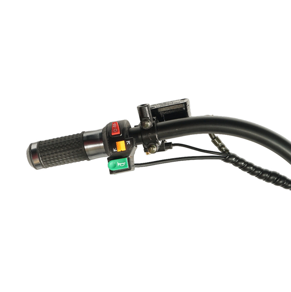 CRONY Small X1 Harley Car Electric bicycle Ebike Harley Car Electric Scooter LCD Display Detachable Battery
