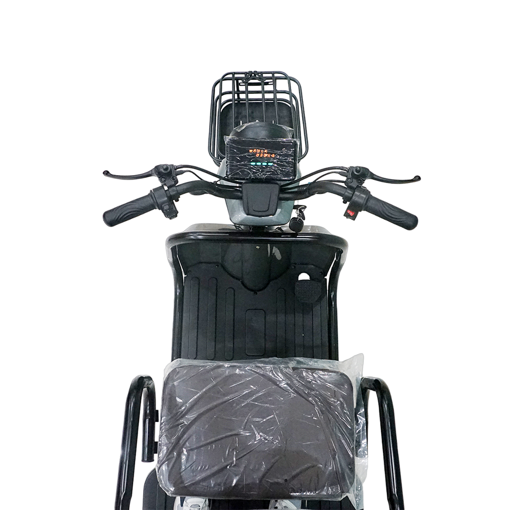 CRONY X2A X2B X2C 3 Wheeler Electronic Electric Scooter