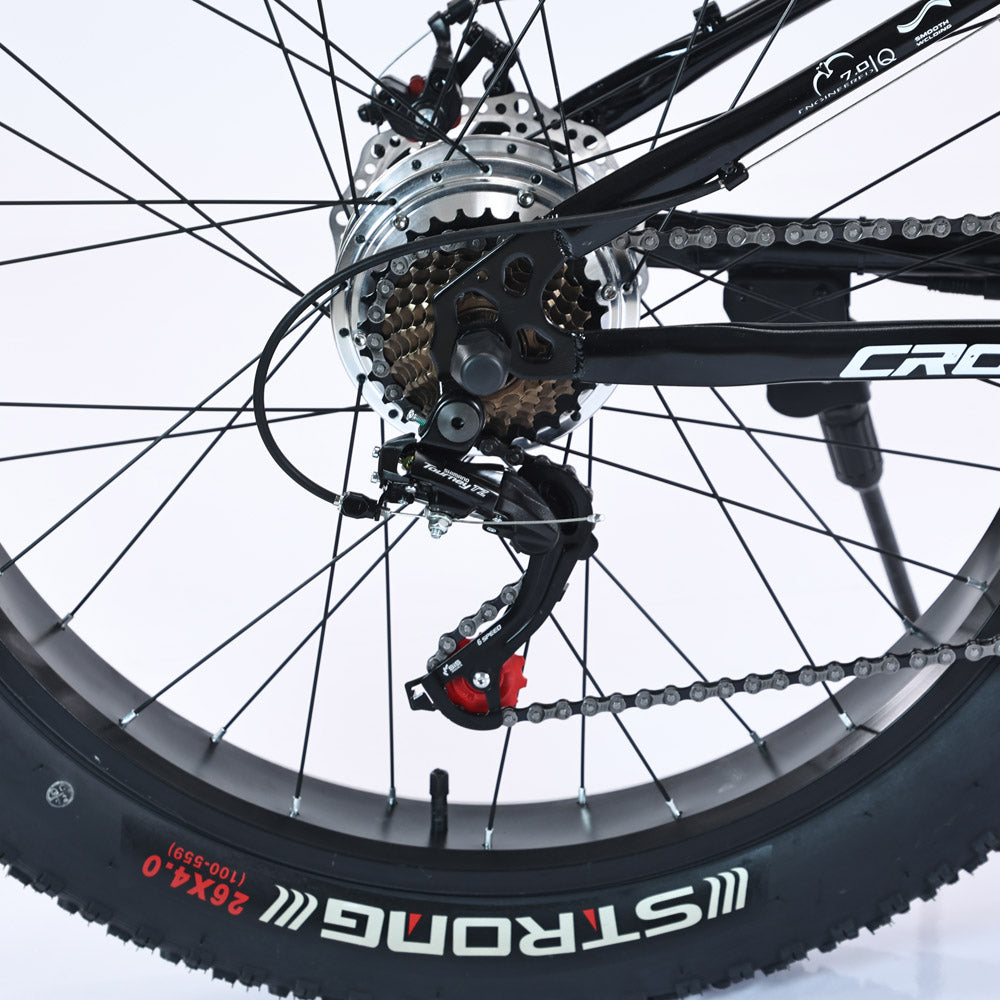CRONY FB-EM017 Electric Bike Fat Tire Wheel Electronic Bicycle Powerful Snow Ebike