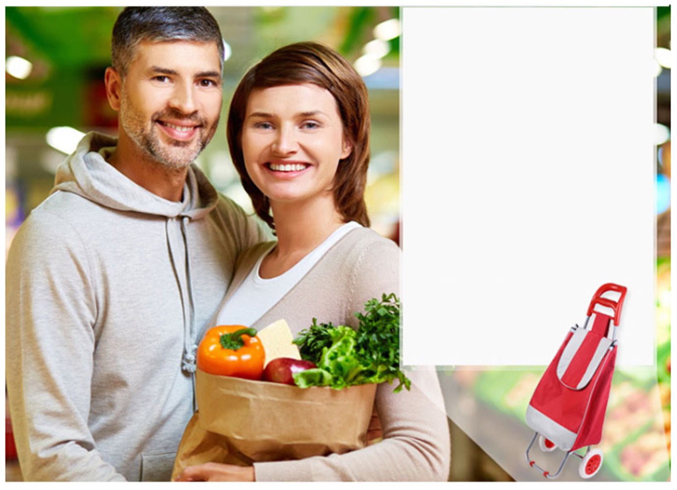 CRONY SC002 Shiping Cart Shopping Trolley Bag Folding Shopping Cart Collapsible Trolley Bag - Edragonmall.com