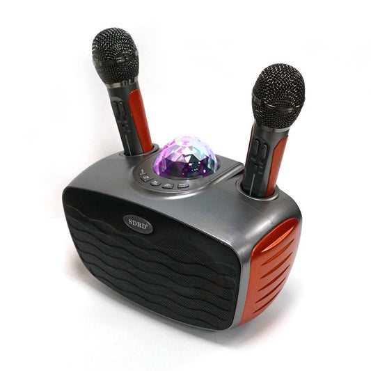 CRONY SD-315 BT Speaker karaoke bluetooth speaker with 2 microphones | Dark gray - Edragonmall.com