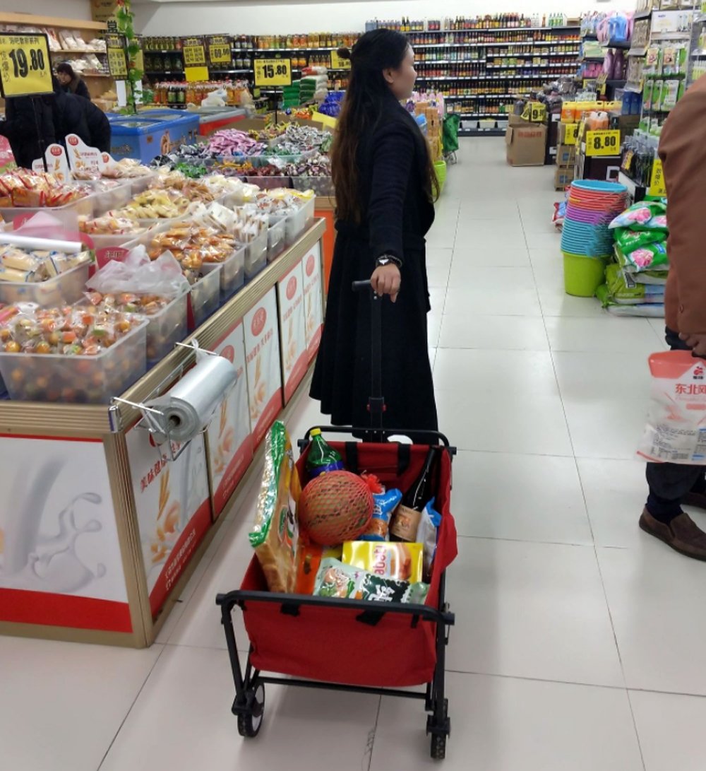 CRONY TC3015 Folding Cart Heavy Duty Collapsible Folding Wagon Utility Shopping Outdoor Camping Garden Cart | BLUE - Edragonmall.com