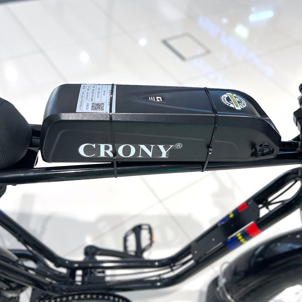 CRONY Y1 Snowmobile 48V 15A 40KM/H Electric Bicycle e cycle electric bike Fat Tire E Bike - Edragonmall.com