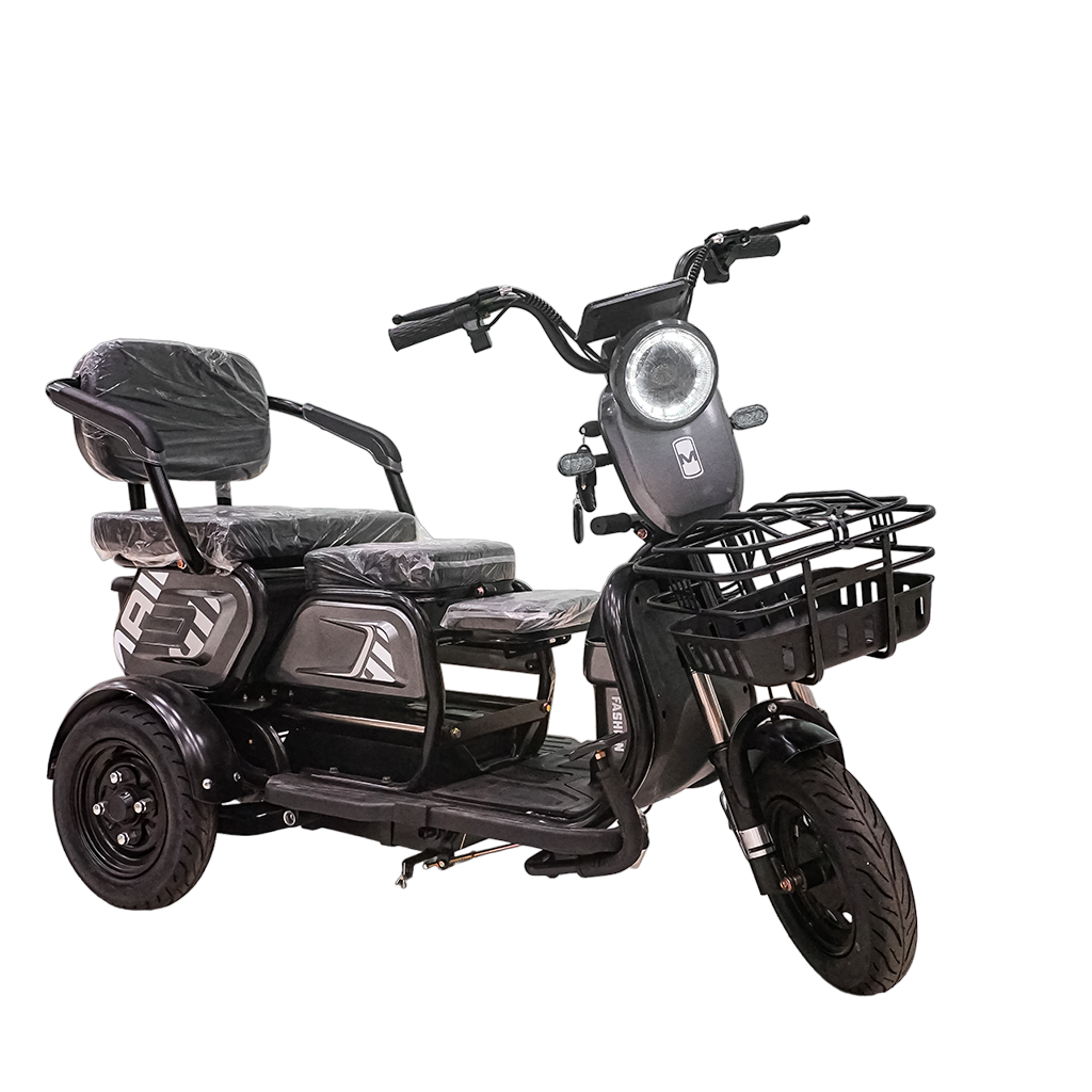 CRONY X3A X3B motorcycle electric bike 350W 48V electric motorcycle Electric Bicycles 3 wheel motorcycle