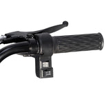 CRONY X3A X3B motorcycle electric bike 350W 48V electric motorcycle Electric Bicycles 3 wheel motorcycle