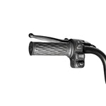 CRONY X3A X3B motorcycle electric bike 350W 48V electric motorcycle Electric Bicycles 3 wheel motorcycle