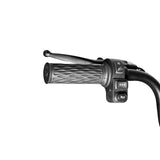 CRONY X3A X3B motorcycle electric bike 350W 48V electric motorcycle Electric Bicycles 3 wheel motorcycle