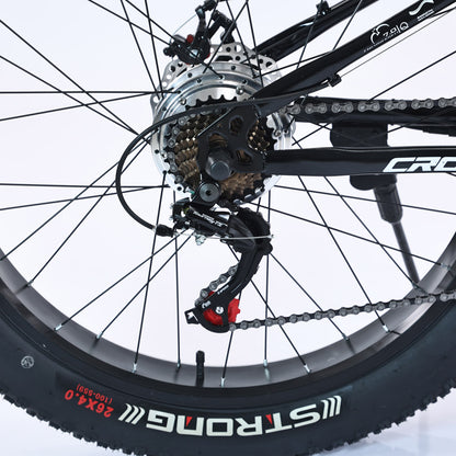 CRONY FB-EM017 أفضل دراجة كهربائية بعجلات عريضة دراجة إلكترونية 36 فولت 12 أمبير بطارية ليثيوم دراجة كهربائية قوية للثلج