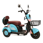 CRONY X3A X3B motorcycle electric bike 350W 48V electric motorcycle Electric Bicycles 3 wheel motorcycle