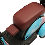 CRONY X3A X3B motorcycle electric bike 350W 48V electric motorcycle Electric Bicycles 3 wheel motorcycle