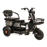 CRONY X3A X3B motorcycle electric bike 350W 48V electric motorcycle Electric Bicycles 3 wheel motorcycle