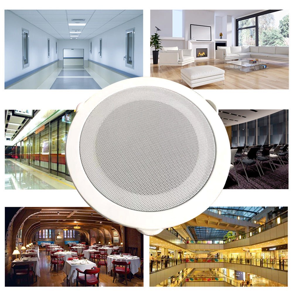 Fall best sale ceiling speaker