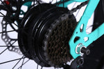 CRONY 22 inch sand electric vehicle Outdoor desert riding electric bicycle | Black - Edragonmall.com