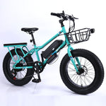 CRONY 22 inch sand electric vehicle Outdoor desert riding electric bicycle | Black - Edragonmall.com