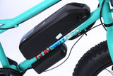 CRONY 22 inch sand electric vehicle Outdoor desert riding electric bicycle | Black - Edragonmall.com