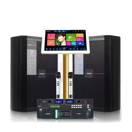 CRONY 350W KTV System 12 inch professional audio set karaoke - Edragonmall.com