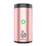 Crony B50 Car Bukhoor Usb Type-C Power Bakhoor Rechargeable | Rose gold - Edragonmall.com