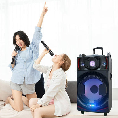 CRONY CN-111DJ Speaker Rechargeable speaker with DJ Mixer DJ-1036 + 2 radio microphones - Edragonmall.com