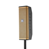 CRONY DV-SOUND-MOOM 99 Speaker - Edragonmall.com