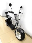 CRONY G-028 1500W Harley Electric Motorcycle Double Seat with double battery Rugged | Black spider - Edragonmall.com