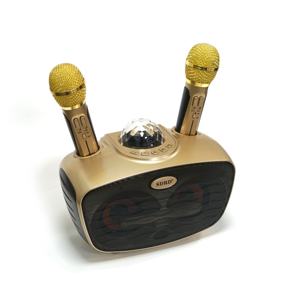 CRONY SD-315 BT Speaker karaoke bluetooth speaker with 2 microphones | Golden - Edragonmall.com