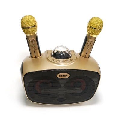 CRONY SD-315 BT Speaker karaoke bluetooth speaker with 2 microphones | Golden - Edragonmall.com