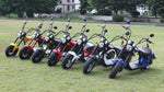 CRONY X1 Harley Electrocar car With BT Speaker 65KM/H Electrocar car Citycoco Fat Tire Electric motorcycle | Green - Edragonmall.com