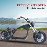 CRONY X1 Harley Electrocar car With BT Speaker 65KM/H Electrocar car Citycoco Fat Tire Electric motorcycle | Green - Edragonmall.com