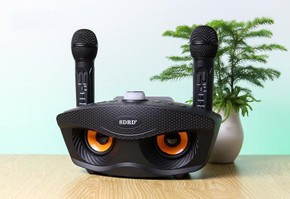 SD306 BT Speaker | Strange Designs Give 2 Microphones-Black - Edragonmall.com