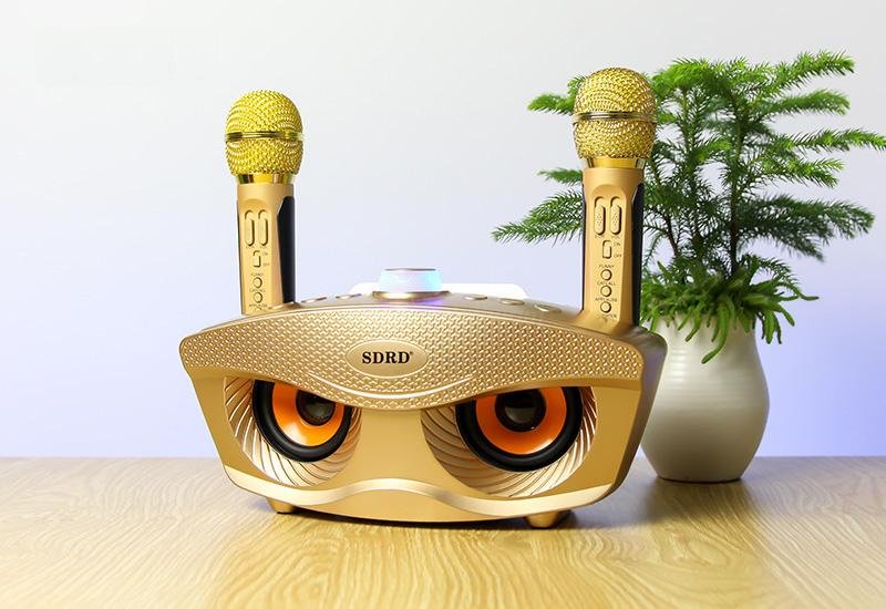 SD306 BT Speaker | Strange Designs Give 2 Microphones- Gold - Edragonmall.com