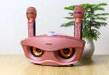 SD306 BT Speaker | Strange Designs Give 2 Microphones-Pink - Edragonmall.com