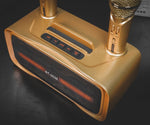 ST-2028 BT Speaker Comes with 2 wireless microphones Full Bluetooth, USB, AUX, TF card connectivity - Edragonmall.com