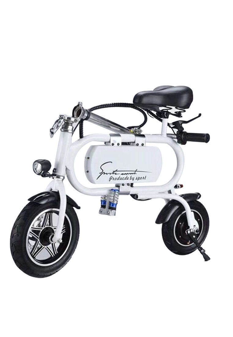 T1 Smart Setr Electric Bike 36V 8A Lithium Battery 12 Inch Wheels Aluminum Alloy + Magnesium Alloy Frame -Purple - Edragonmall.com